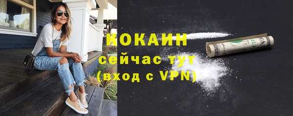 мет Арсеньев