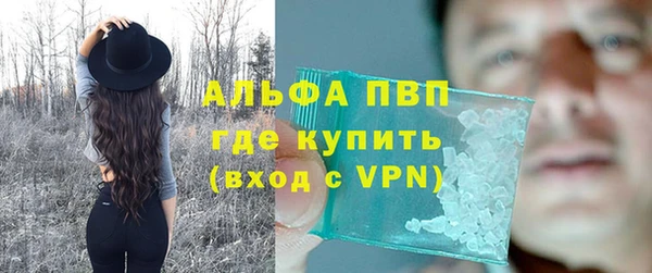 молекула духа Алексеевка