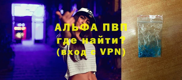 амф Ельня